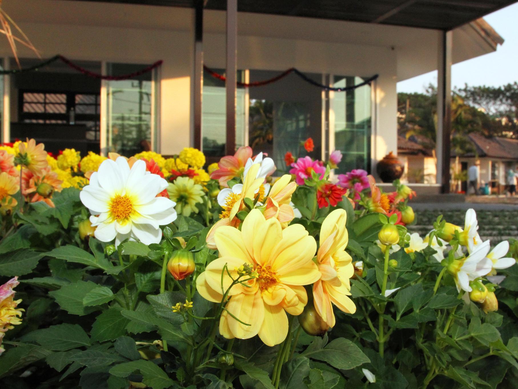 Chiangrai Green Park Resort Chiang Rai Exteriör bild