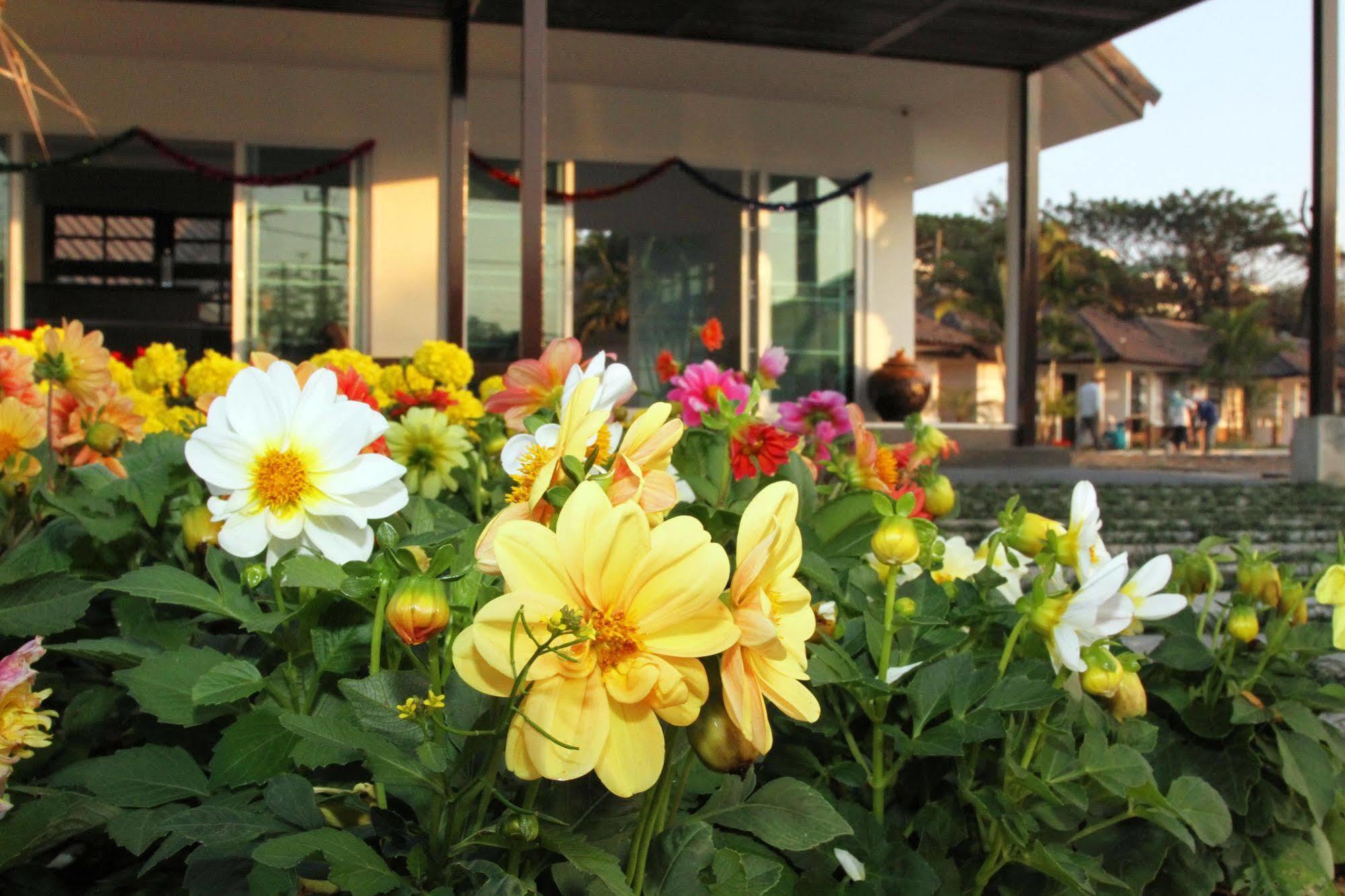 Chiangrai Green Park Resort Chiang Rai Exteriör bild